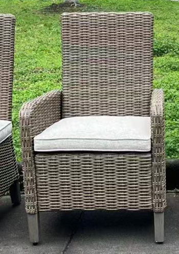 Laguna Heights - Beige - Arm Chair With Cushion (Set of 2)