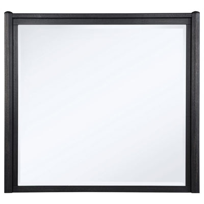 Leandro - Dresser Mirror - Burnished Black