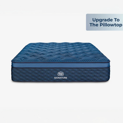 Compare Most Popular Online Brands Side-By-Side| In-Store Pottstown PA