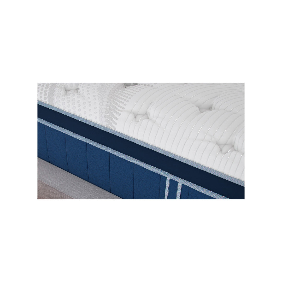 Bear Elite Hybrid side panel and carry handle detail