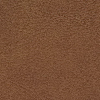 Magic Man - Reclining Sectional