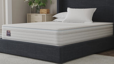 RV Meadow Natural Latex Zippered Hybrid