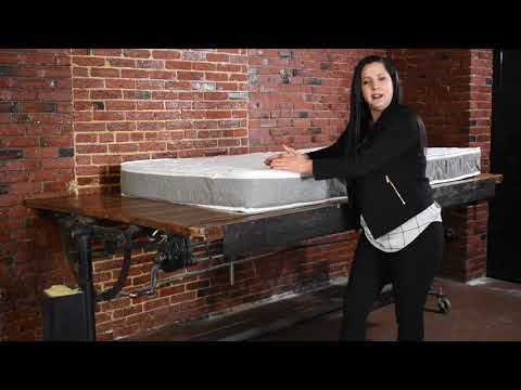Casita Foam With Radius Curve